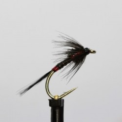 ians black cruncher quill holo red