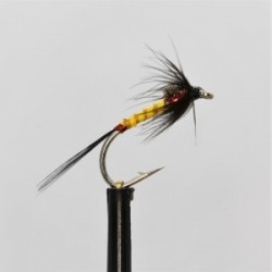black sunburst devil cruncher
