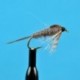 Quill Gordon Nymph