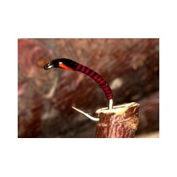 red yellow flexifloss buzzer