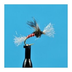 Chironomid Pupa   Red