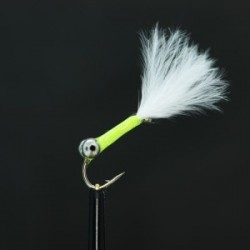 reverse cat stalking bug