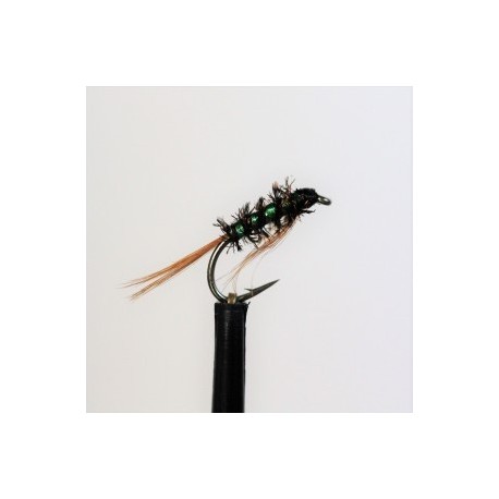 green holo body diawl bach