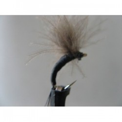 black shuttle emerger cdc