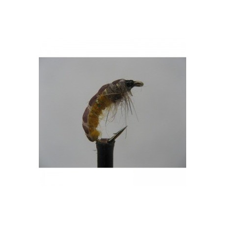 amber super wtd czech nymph