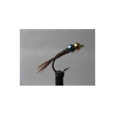 pheasant tail rainbow