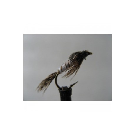 mayfly weighted nymph