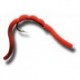 Squiggly San Juan Worm Red