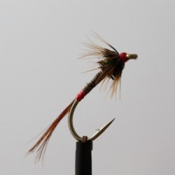 standard quill holo red butt cruncher