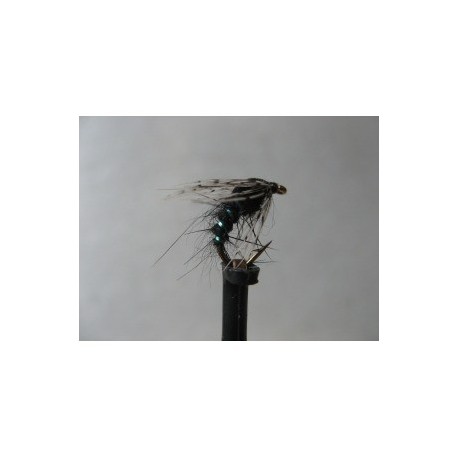 ians holy grail nymph