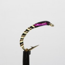 sq cream cranberry cheeks buzzer