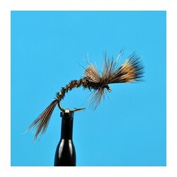 Pheasant Tail Challenged