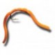Squiggly San Juan Worm Fl Orange