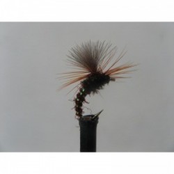 claret parachute emerger cdc