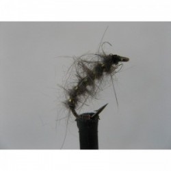 semtex bug hares ear