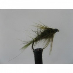 olive hares ear