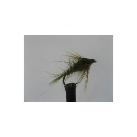 olive hares ear