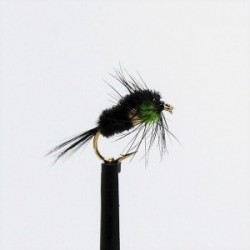 green gold body montana
