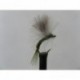 olive shuttle emerger cdc