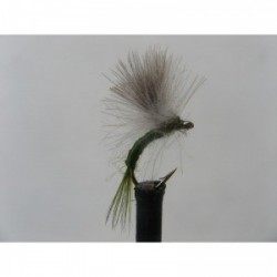 olive shuttle emerger cdc