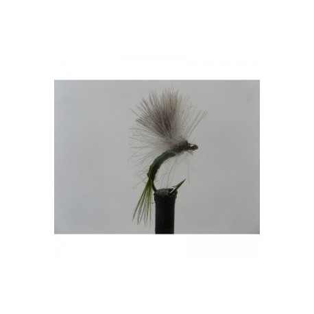 olive shuttle emerger cdc
