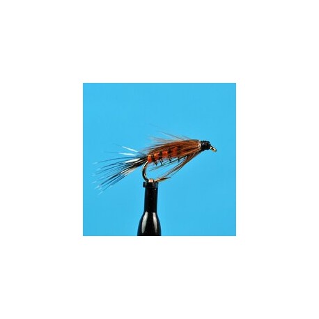 Tellico Nymph   Orange