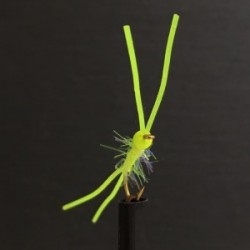 hot head fl yellow perfect rubber blood worm