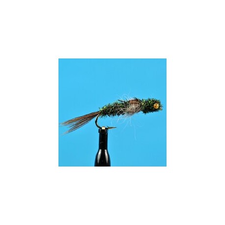 Peacock Dragon