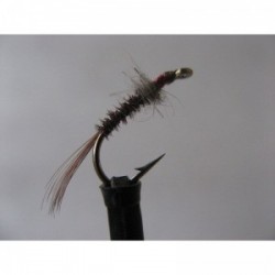 muskins brown red nymph