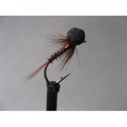 ians holo red cruncher booby