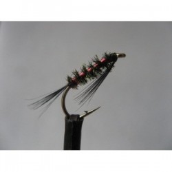 ians black holo red rib diawl bach