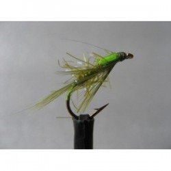 uv olive diawl bach