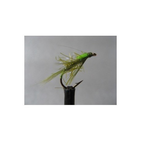 uv olive diawl bach