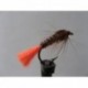 orange tail pheasant tail