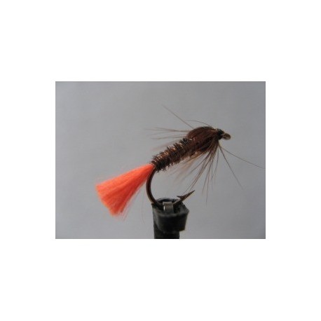 orange tail pheasant tail