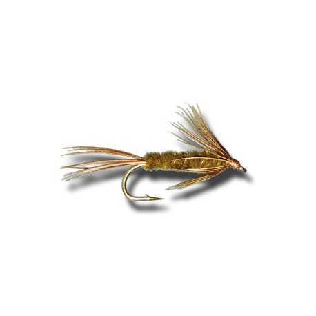 Carey Special Wet Fly Olive