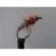 copper hares ear orange