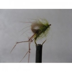 bobs bits emerger olive cdc