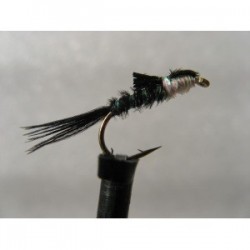 ians holo pearl nymph