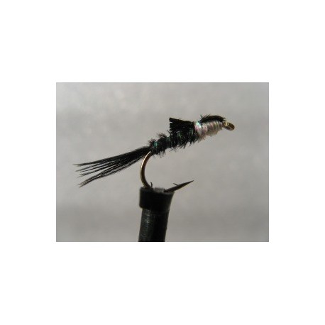 ians holo pearl nymph