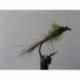 olive pseudo head hares ear