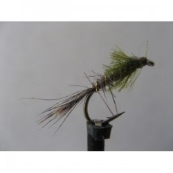 olive pseudo head hares ear