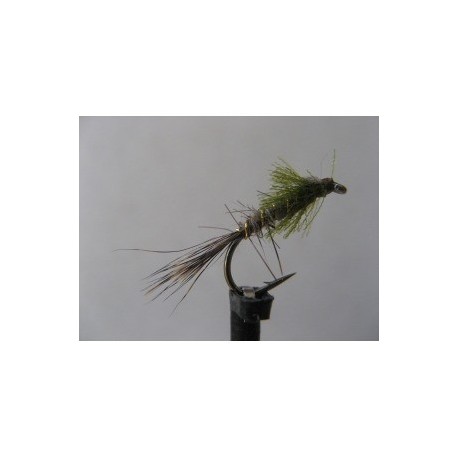 olive pseudo head hares ear