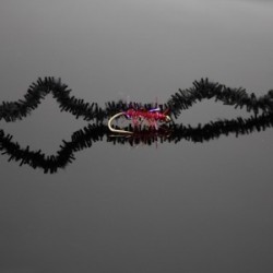 black red wine uv fritz chewing gum worm