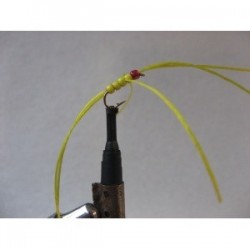 rainbow yellow apps b w