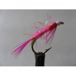 uv pink diawl bach