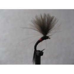 bibio shuttle emerger cdc