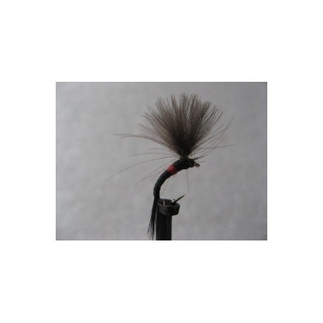 bibio shuttle emerger cdc