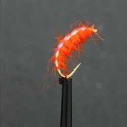 orange weighted flash shrimp