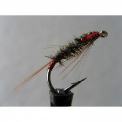 uv rib black holo red diawl bach